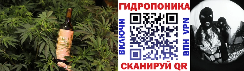 Купить где  Серафимович  Cannafood марихуана 