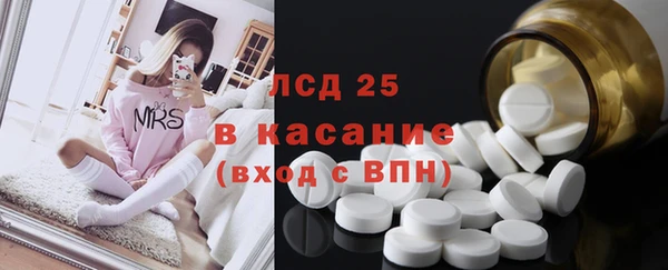 хмурый Белокуриха