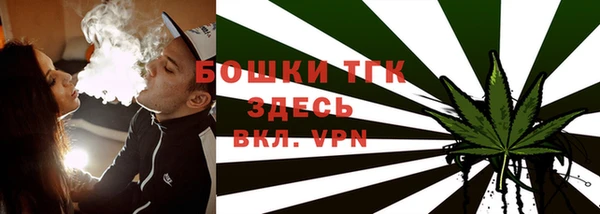 хмурый Белокуриха
