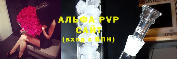 хмурый Белокуриха