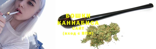 хмурый Белокуриха