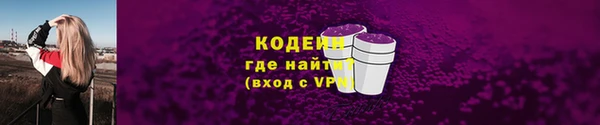 хмурый Белокуриха