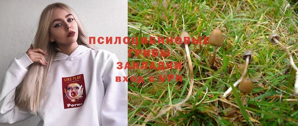 хмурый Белокуриха