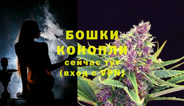 СК Беломорск