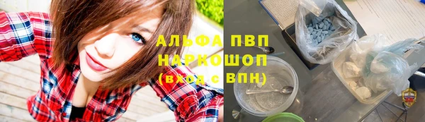 хмурый Белокуриха