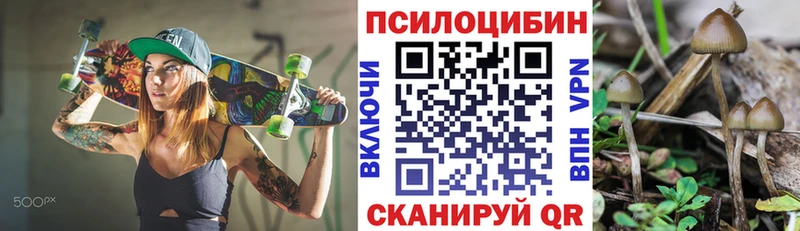 Купить закладки Серафимович Псилоцибиновые грибы мухоморы